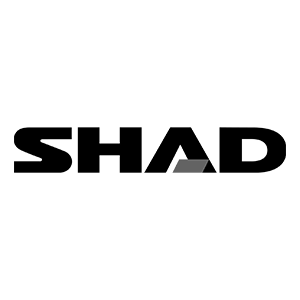 Shad